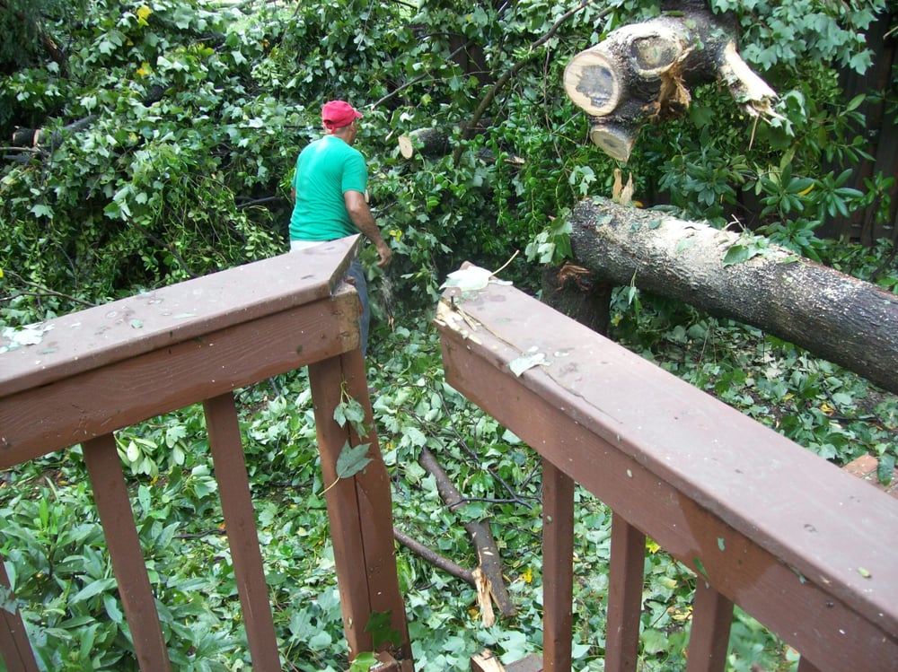 Jack-the-Ripper Certified Arborists