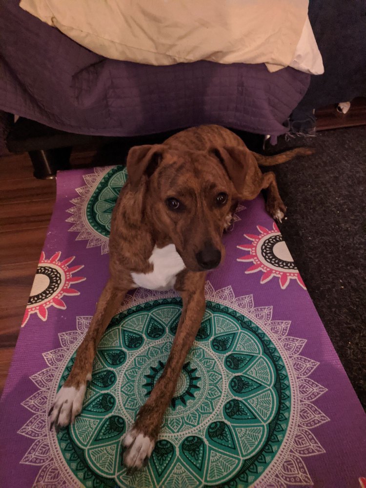 Fraser Car Wash & Auto Detail