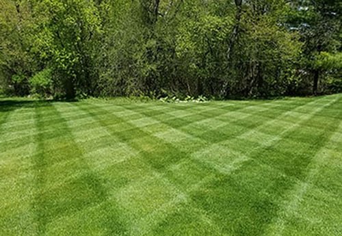 Lohbeck Lawn Care
