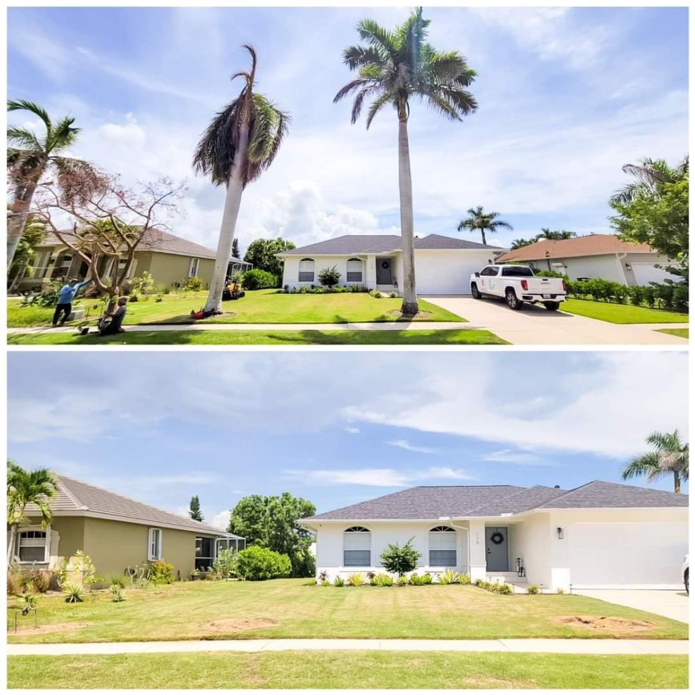 Hurricane Tree Service And Landscaping