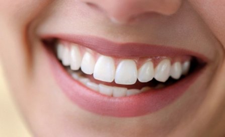image of business Gloria McMenamin, DDS