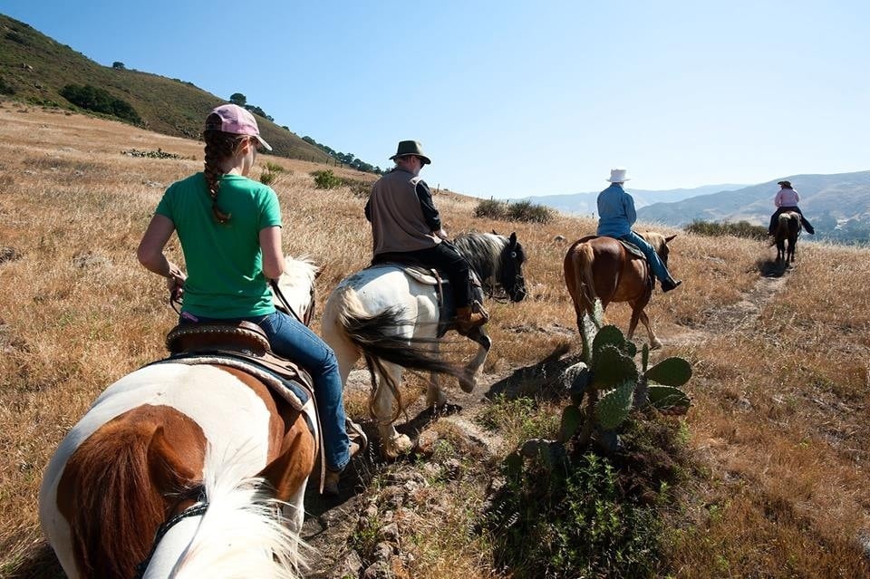 Madonna Inn Trail Rides 84 Photos & 46 Reviews Horseback Riding