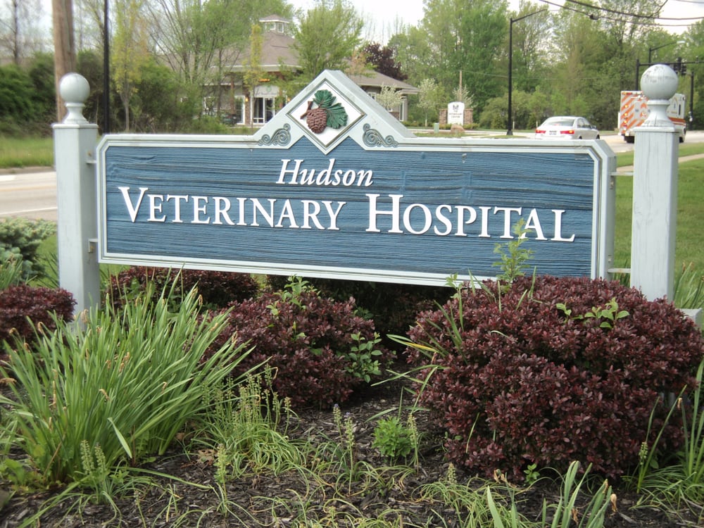 Hudson Veterinary Hospital Veterinarians 5939 Darrow Rd, Hudson, OH