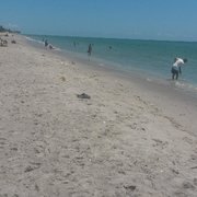 Manasota Beach 21 Photos 11 Reviews Beaches Key Rd Photo Of Manasota Beach Venice Fl United States