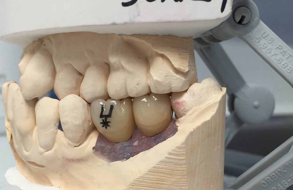 image of business Pasha Dental