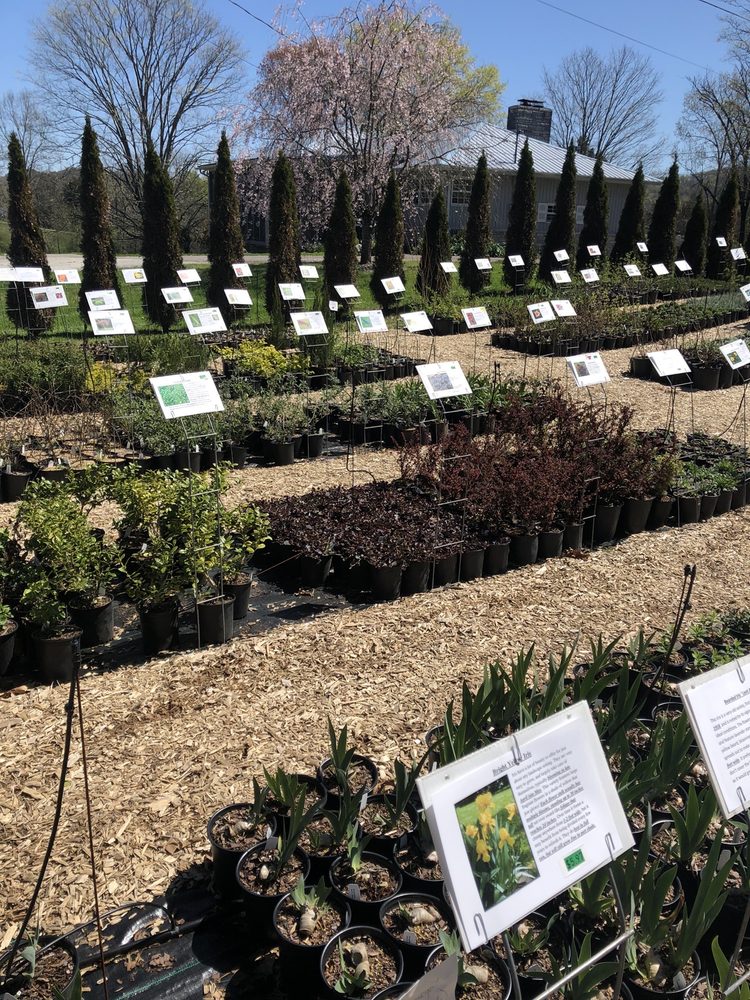 Whistle Hill Nursery
