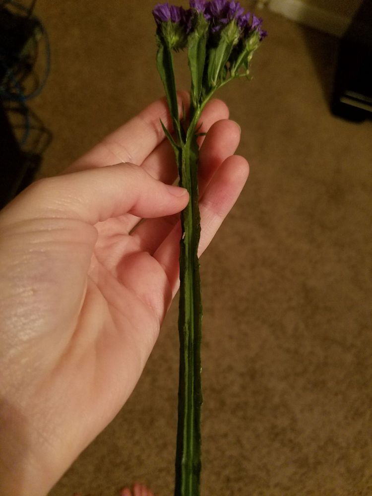 Elaine’s Florist & Gift Baskets 17 Reviews Florists 4782 Beechnut St, Meyerland, Houston