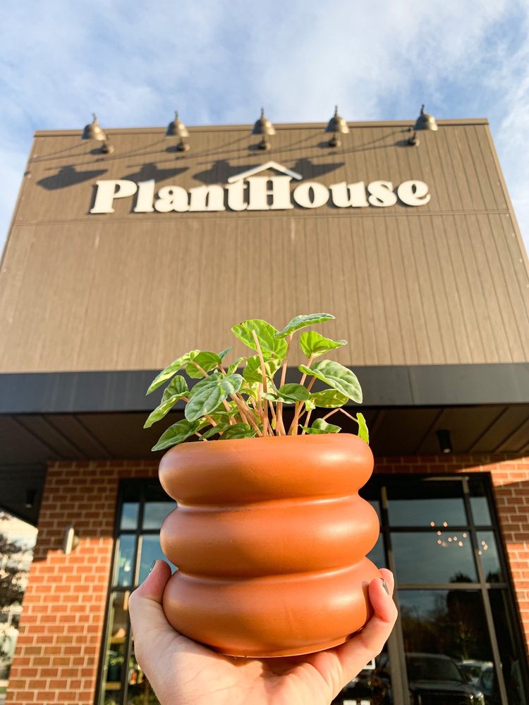 PlantHouse