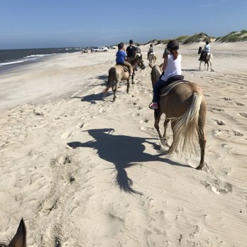 Virginia Beach Horseback 133 Photos 15 Reviews Photo Of Virginia Beach Horseback Va United States We Loved