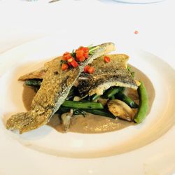 Best Restaurants Near Galleria In Saint Louis Mo Last Updated 6 Oceano Bistro