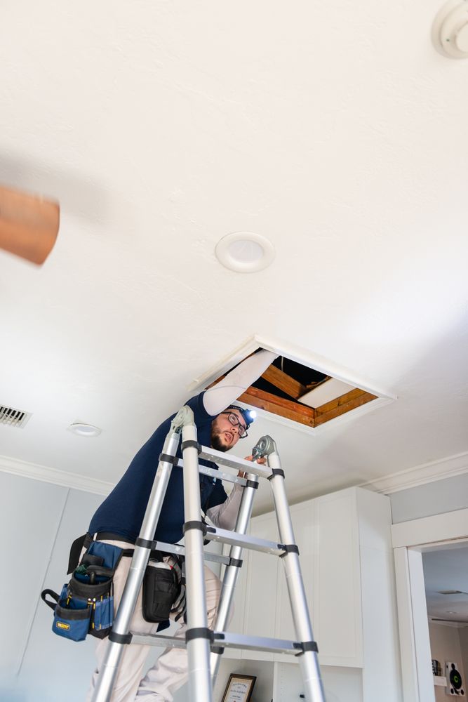 NxtMove Inspections