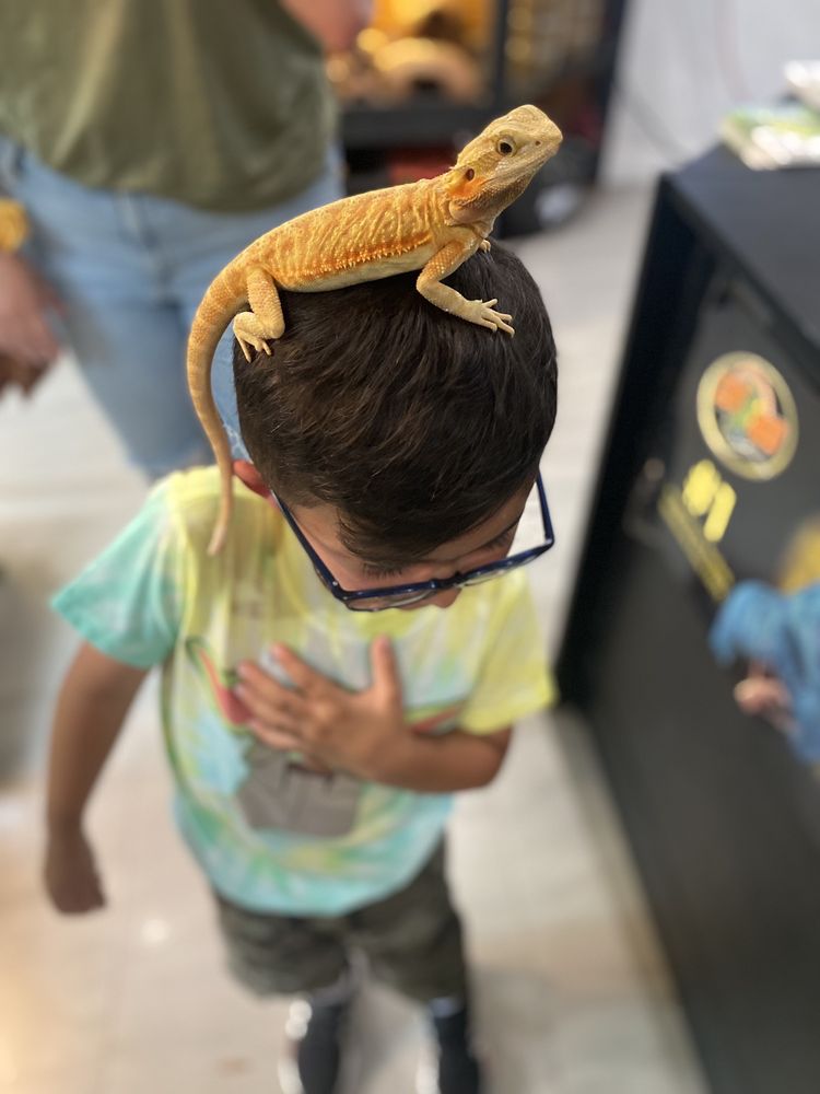 Miami Reptile Company Image