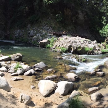 Garden Of Eden , Henry Cowell Redwoods State Park , 81