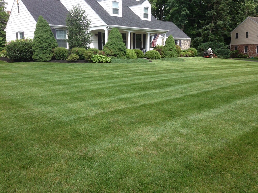 Stewart Bros Turf