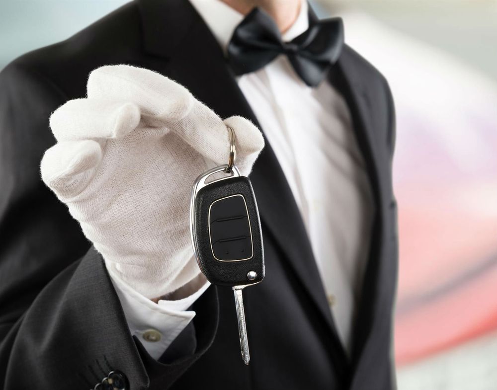 Mr Valet of Texas