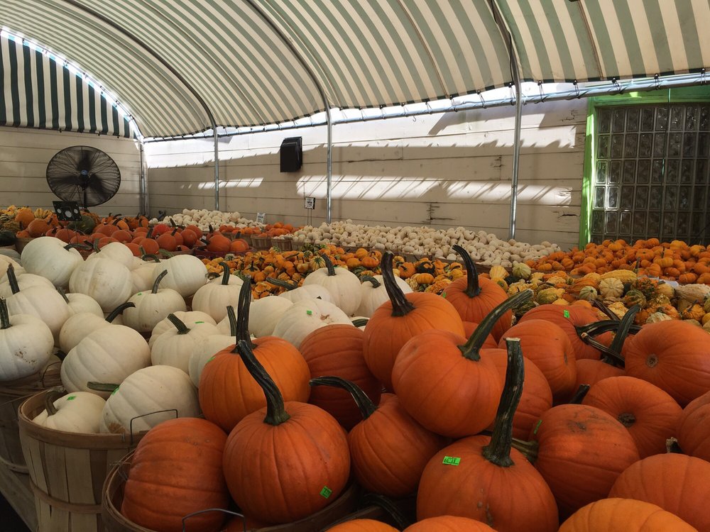 Sawyer Home & Garden Center - 71 Photos & 43 Reviews - Home & Garden