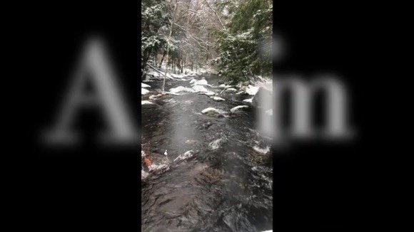 image of business Fly Fishing Contractor