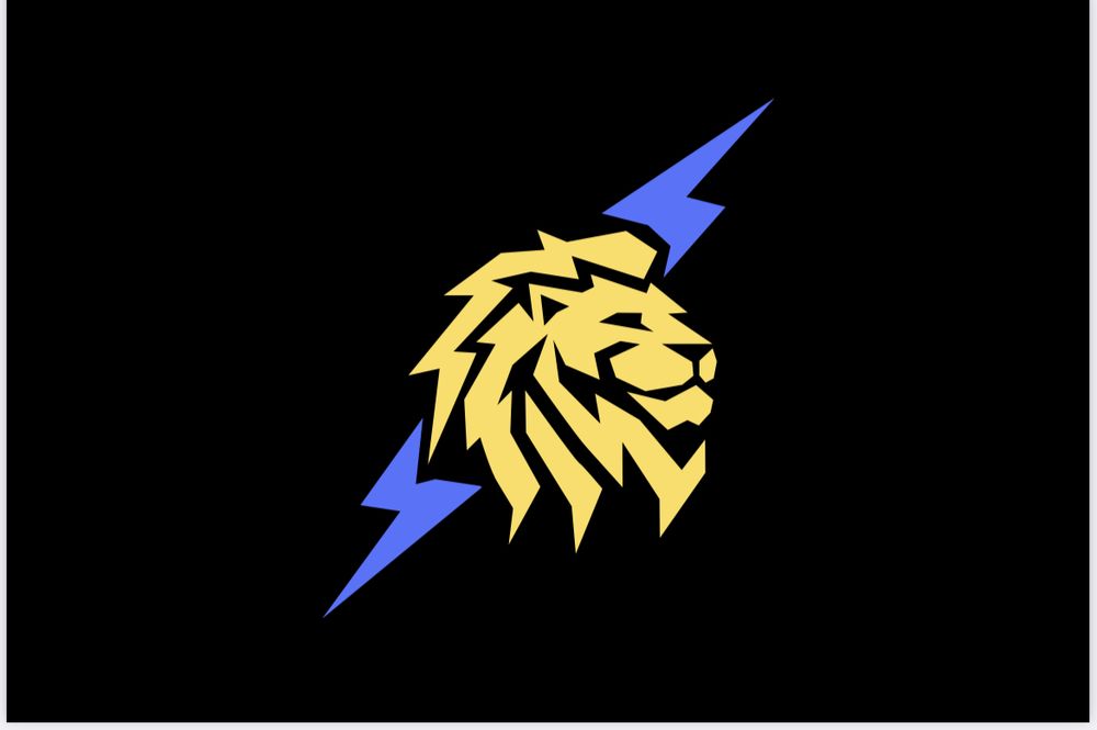 Lion Group Electrical