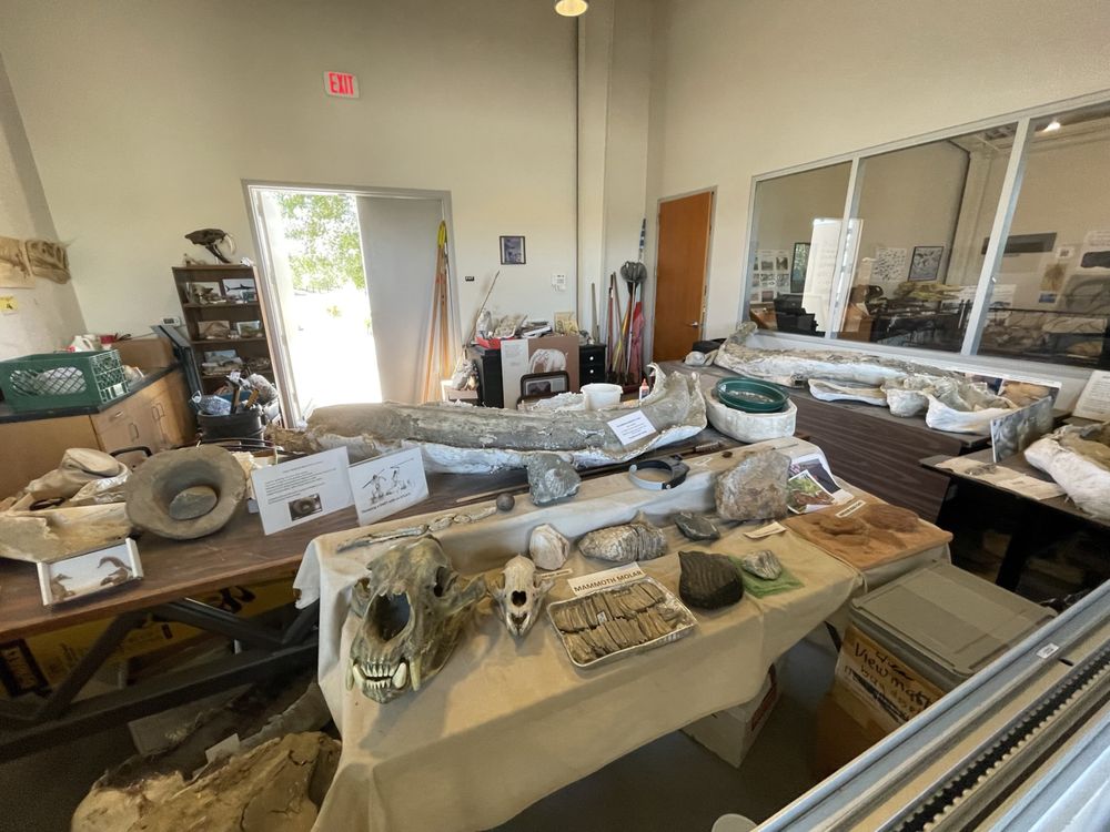 Fossil Discovery Center of Madera County