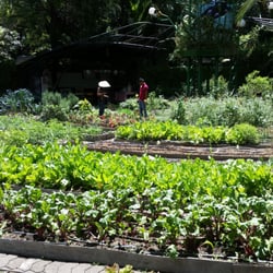 The Best 10 Botanical Gardens In Mexico City Cdmx Last 3 Huerto Roma Verde 5 Reviews Botanical Gardens