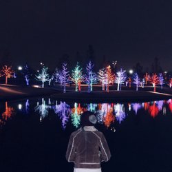 Top 10 Best Christmas Lights In Dallas Tx Last Updated