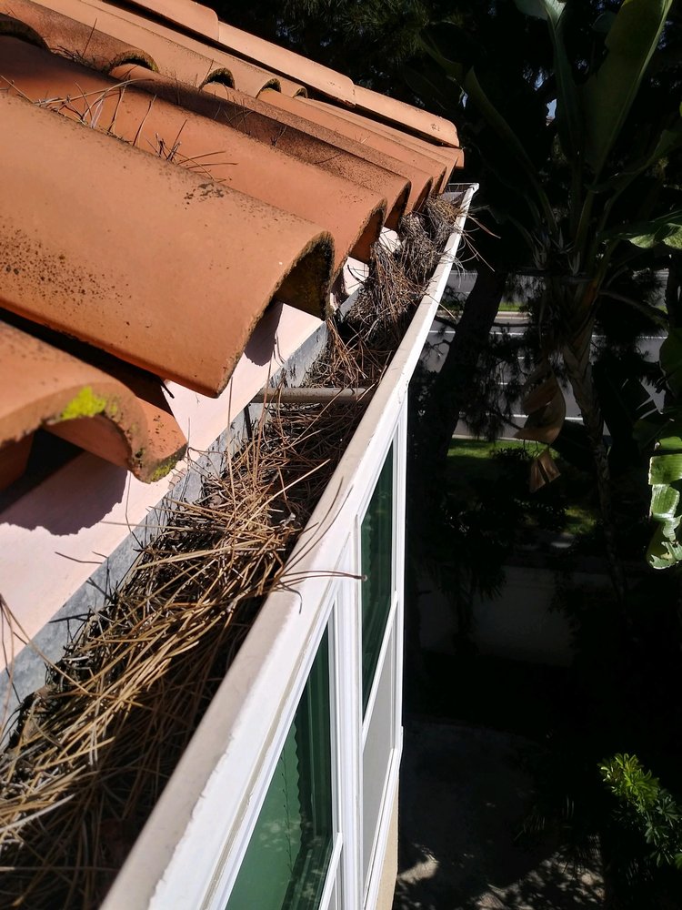 L&D Window Cleaning
