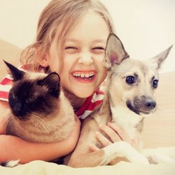 vip pet care phone number