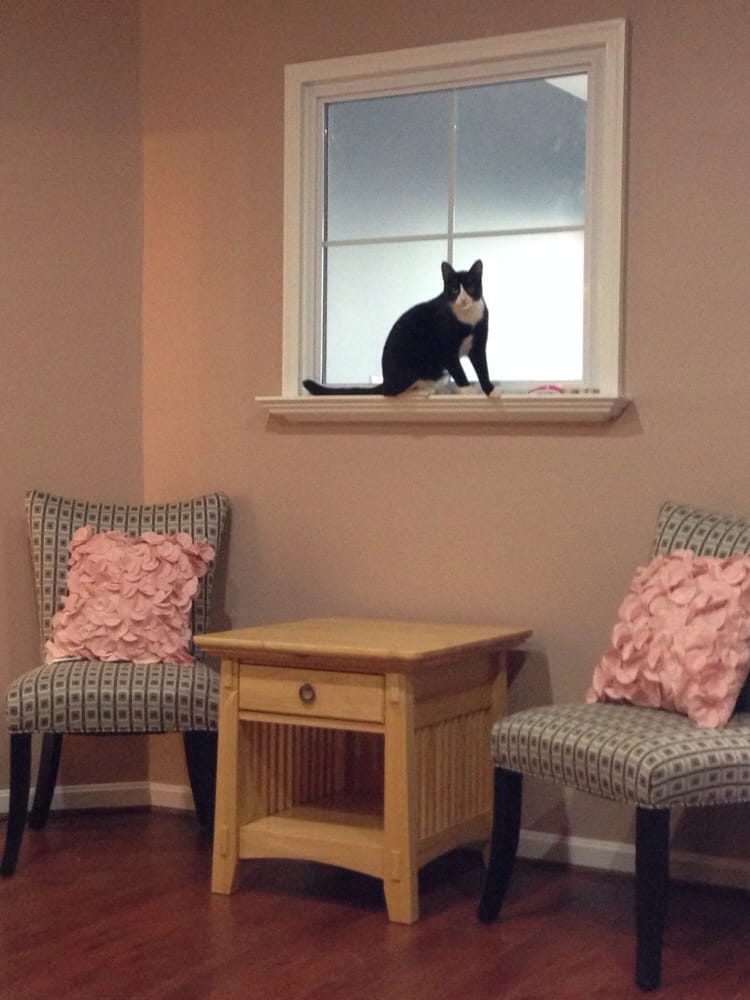 image of business Model Home Interiors