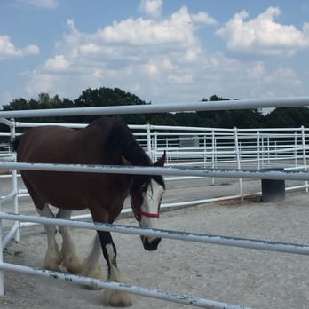 Warm Springs Ranch - 23 Photos &amp; 10 Reviews - Tours - 25270 Hwy 98, Boonville, MO - Phone Number ...