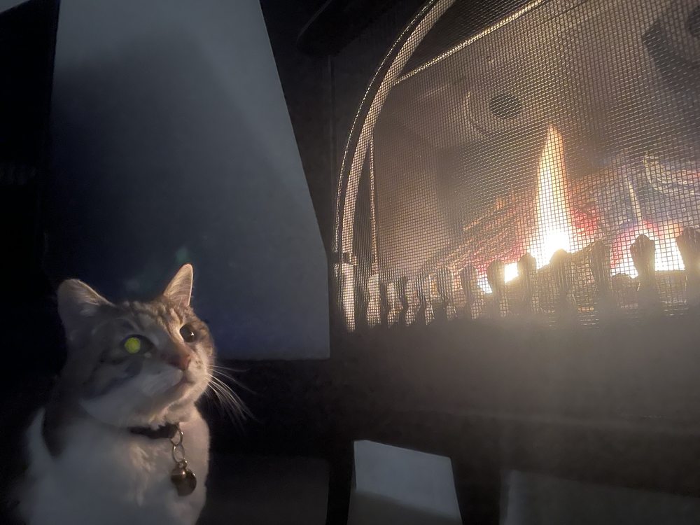 image of business Idyllwild Heating and Cooling