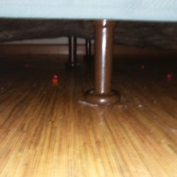 Motel 6 19 Photos Hotels 401 Cherry Blossom Way Georgetown Photo Of Motel 6 Georgetown Ky United States Candy Under Bed