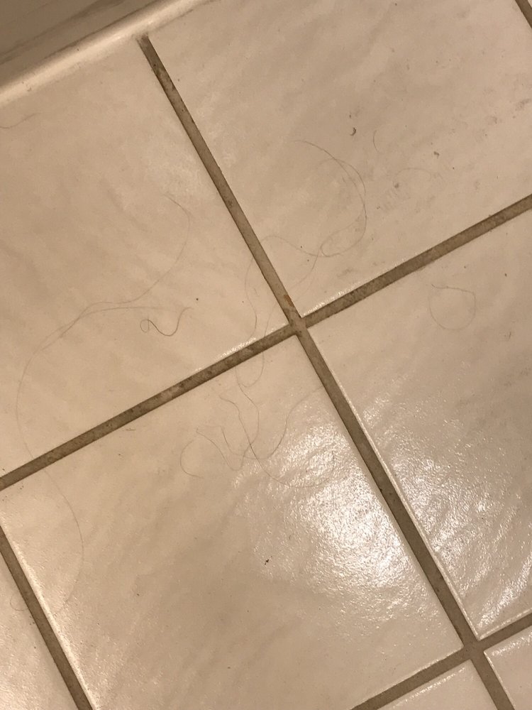 Hair On The Bathroom Floor 64 Cleaning Fee Yelp Photo Of Ocean Sands Resort Virginia Beach Va United States Hair On