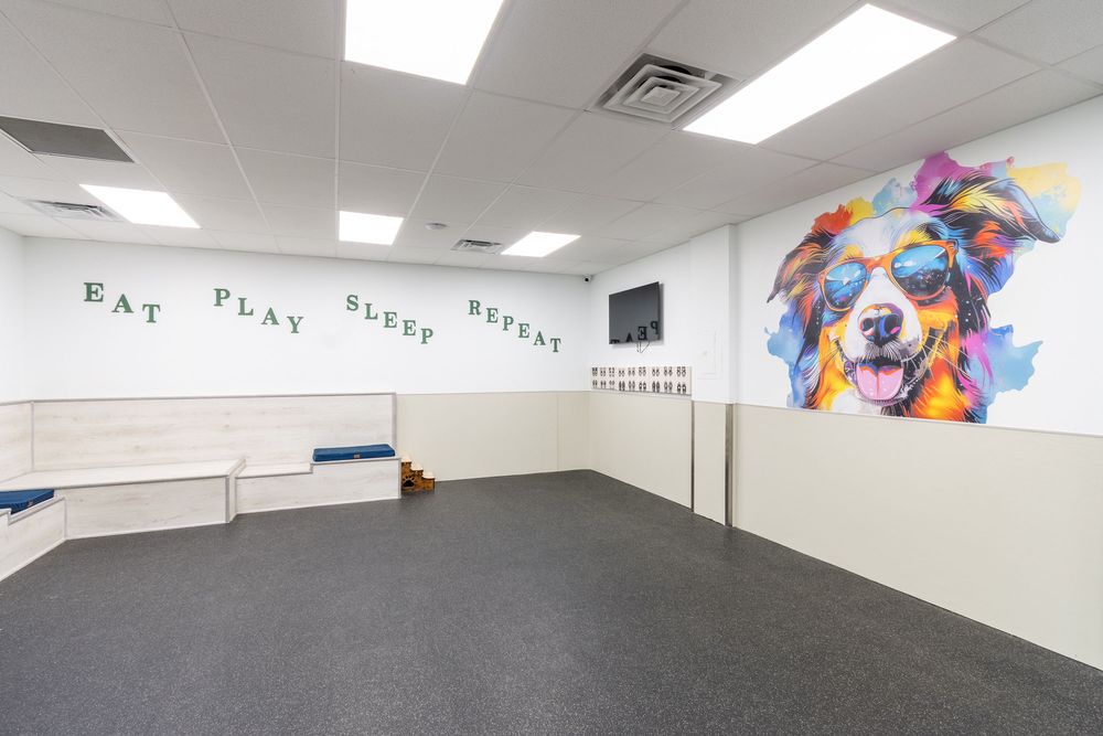 Loving Paws Daycare & Boarding Image