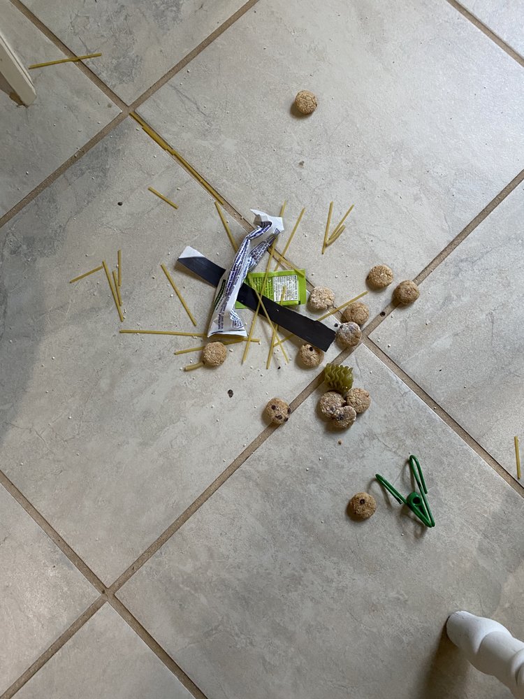 Harris Residential & Commercial Cleaning Services