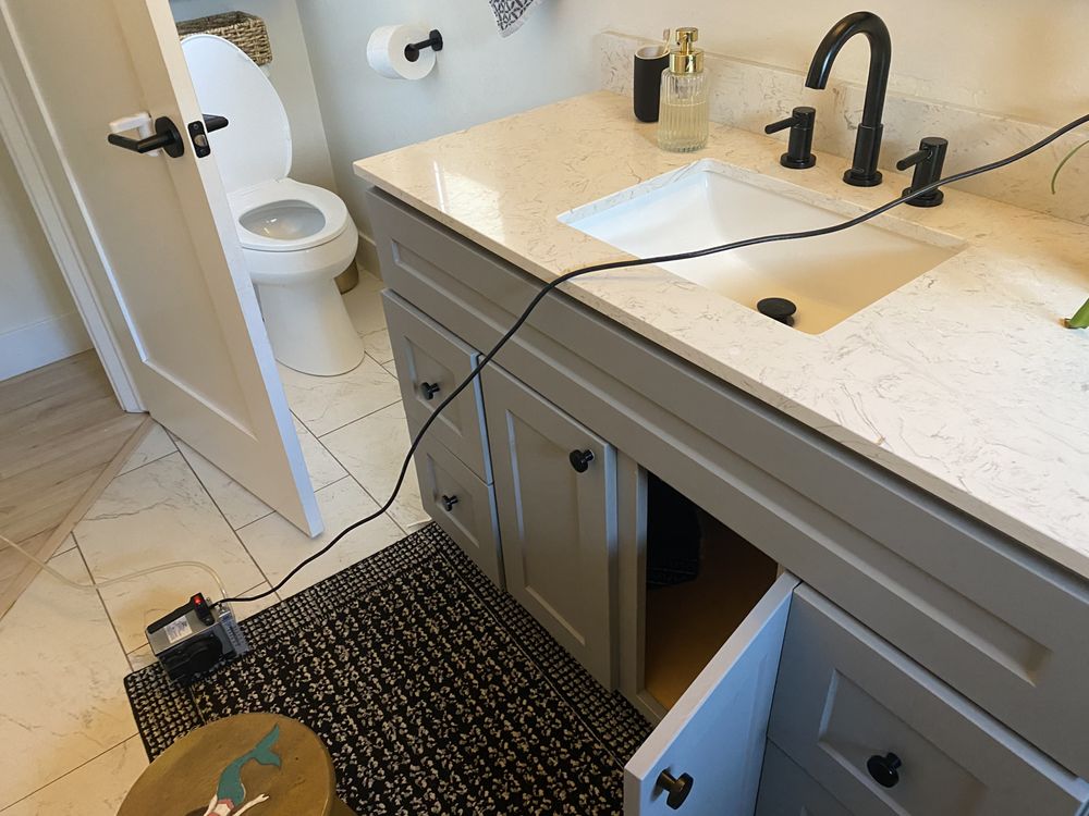 Professional Mold Inspections