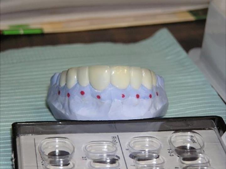 image of business Craig A. Light, DDS, PC