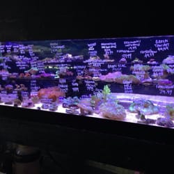 rick s fish pet supply 14 photos 34 reviews pet rick s fish pet supply 14 photos 34 reviews pet