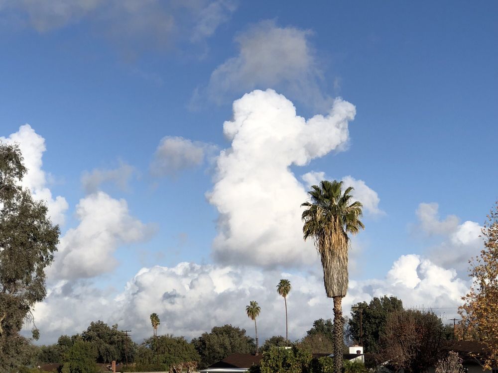 image of business Sam Scott Builders