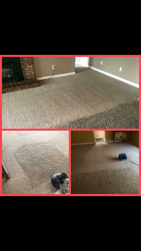image of business Extreme Carpet Cleaning