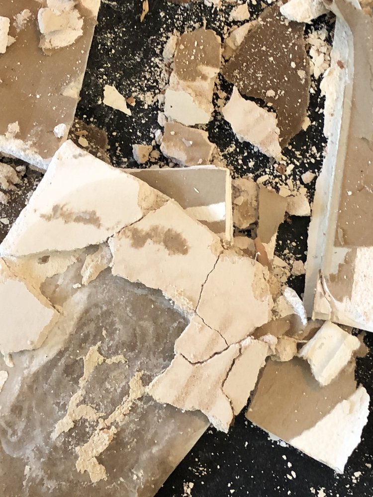 image of business The Original Plumbing Company