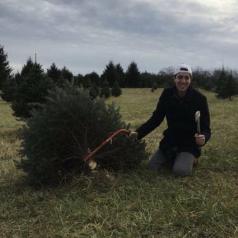 Middleburg Christmas Tree Farm - 37 Photos & 42 Reviews - Christmas Photo of Middleburg Christmas Tree Farm - Round Hill, VA, United States - Middleburg Christmas Tree Farm - 37 Photos & 42 Reviews - Christmas