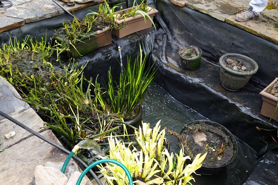 TTP Aquatic Maintenance