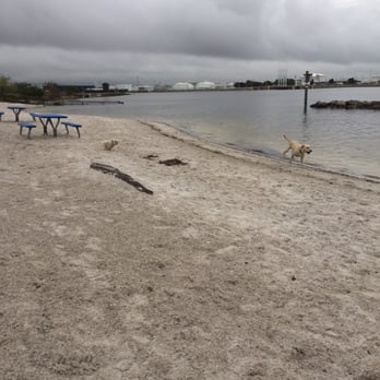 Davis Island Dog Beach 102 Photos 69 Reviews Parks 1002 Photo Of Davis Island Dog Beach Tampa Fl United States