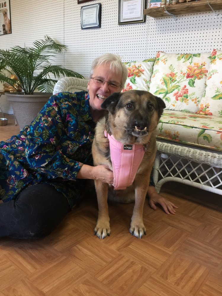 Paws For Holistic Pet Care