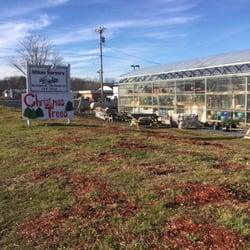 Mike S Nursery Nurseries Gardening 199 E Fairmount Ave Photo Of Mike S Nursery Lakewood Ny United States