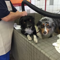 Pet Food Express Antioch Ca Pet Food Express Antioch Ca