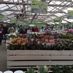 Berghausener Blumentopf Nurseries & Gardening An der Landstr. 12