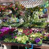 El Plantio Nursery Landscaping 59 Photos 54 Reviews Photo Of El Plantio Nursery Landscaping Escondido Ca United States