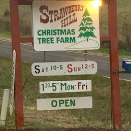 strawberry hill christmas tree farm 10 foto s strawberry hill christmas tree farm 10 foto s
