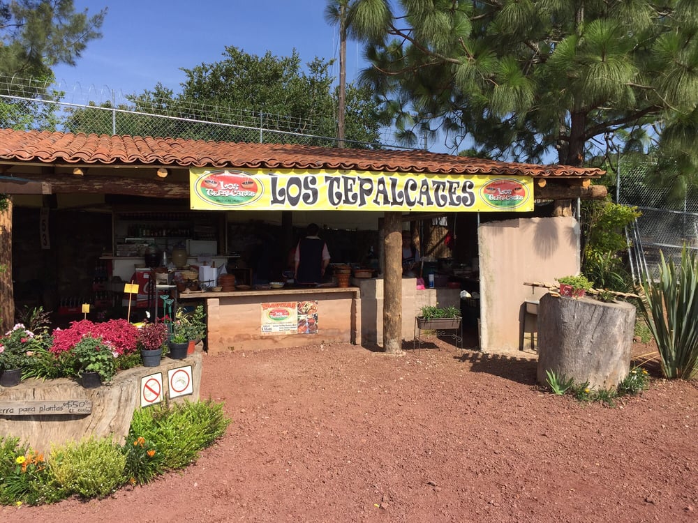 Los Tepalcates Mexican Tecolotlan Cocula S/N, Los Ailes, Jalisco